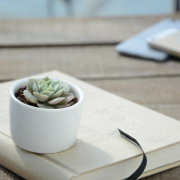 Seven-Day Mindful Home Workbook