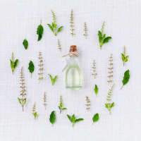 Botanical Glow Facial Oil